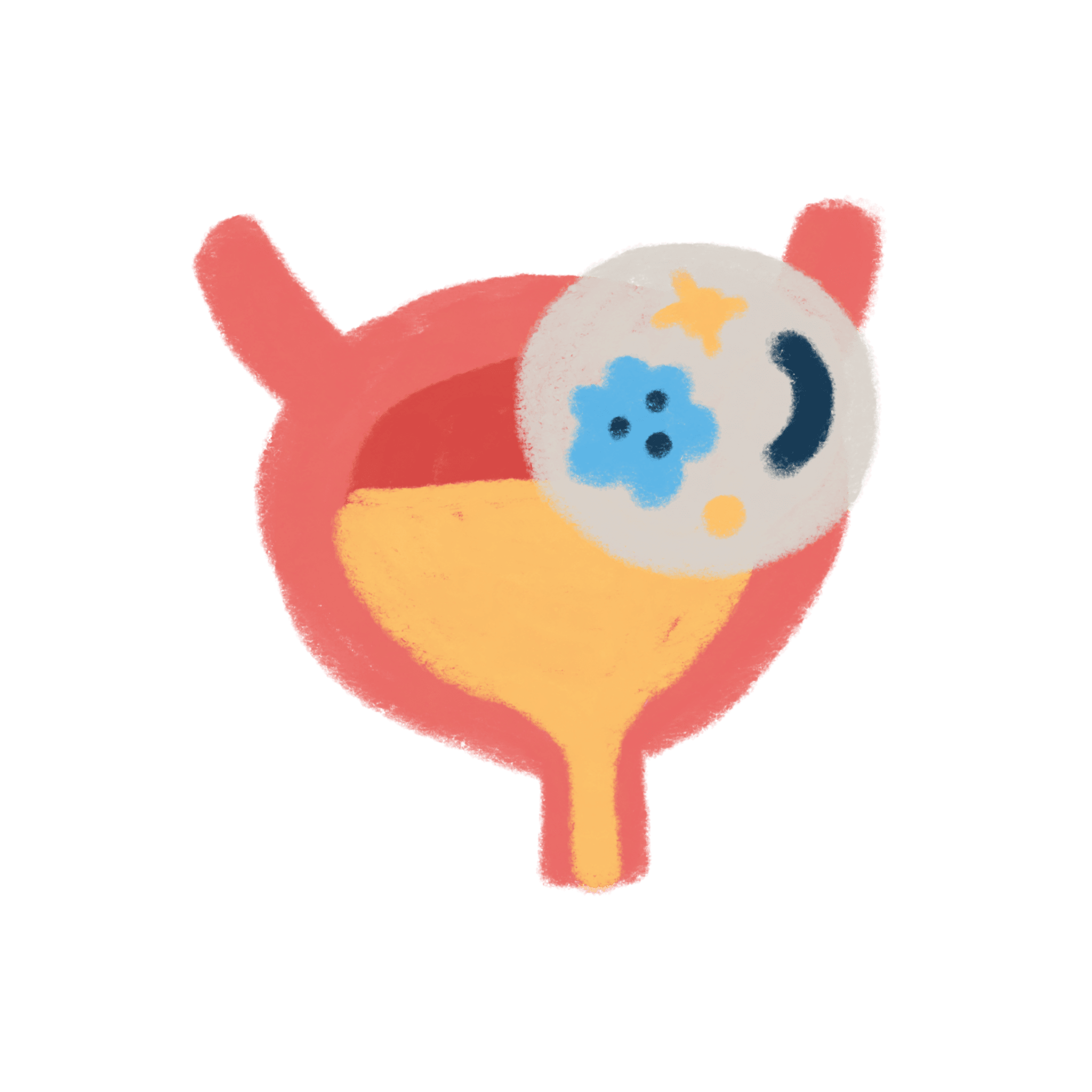 uti and urinary health